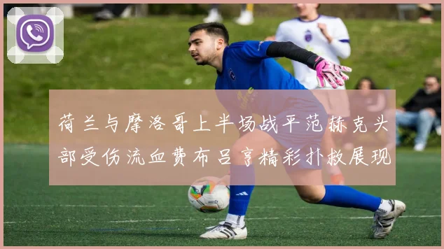 荷兰与摩洛哥上半场战平范赫克头部受伤流血费布吕亨精彩扑救展现实力